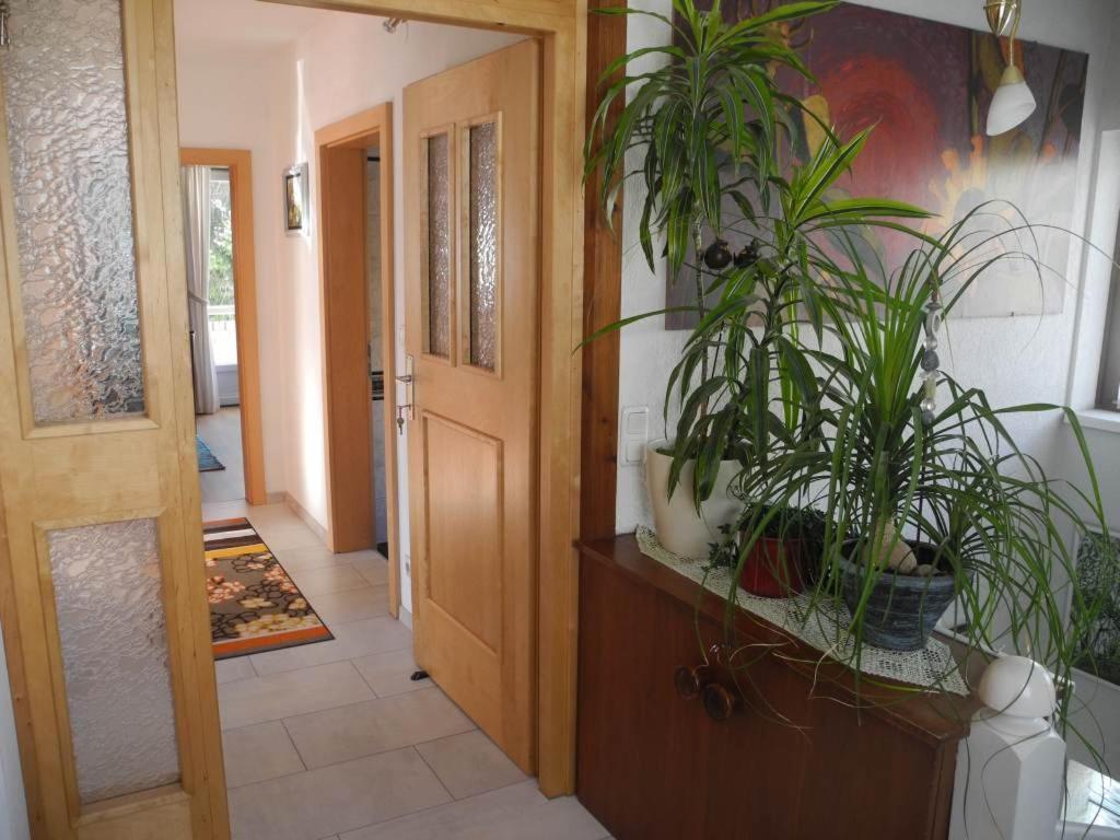 Haus Herzog Matrei in Osttirol Buitenkant foto